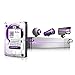 WD Purple NV 6TB Surveillance Hard Disk Drive - Intellipower SATA 6 Gb/s 64MB Cache 3.5 Inch - WD6NPURX