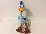 Six Flags Magic Mountain Looney Tunes Road Runner 12