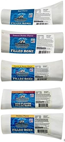 disobedient school for dogs