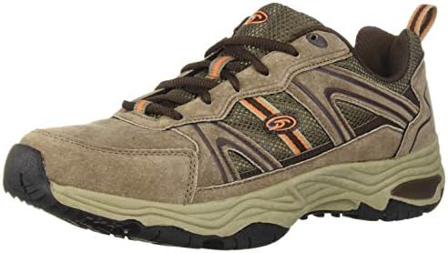 dr scholl's milestone ii