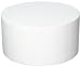 Oasis Supply 747090 Dummy Round Cake, 10