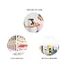 TOPHOUSE 4 Pack Metal Shelf Divider for Closet with 8 Clothing Size Dividers Round Hangers Closet Dividers（White）