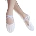 Danzcue Adult Canvas/Leather Ballet Shoes Split Sole Ballet Slippers for Women Dance Shoes, White, 11M