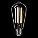 LIGHTSTORY LED Edison Bulb ST18, E26 Base 2200K Non-dimmable Decorative Vintage LED Bulb (3W=40W)
