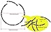 Inlay Sticker Decal Acoustic Guitar Purflinng Sound Hole in Abalone Theme - Rosette Strip/OC