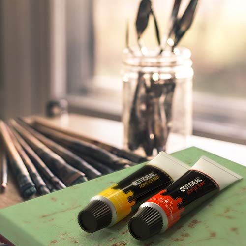GOTIDEAL Acrylic Paint Set, 24 Colors/Tubes(23ml, 0.77 oz) Non Toxic Non Fading,Rich Pigments for Artist, Hobby Painters, Adults & Kids, Ideal for Canvas Wood Clay Fabric Ceramic Craft Supplies
