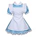 Colorful House Women Blue Maid Outfit Adult Anime Maid Dress Costume Lolita Cosplay Apron Halloween Fancy Fairytale Dress(X-Large, Blue)