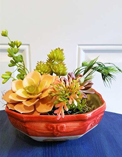 Faux Terrarium Plants, Artificial Succulent Plants, Newer Look for Plants
