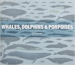 Whales Dolphins And Porpoises A Natural History And