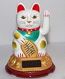 IA_BIG Beautiful FENGSHUI Lucky Beckoning Waving