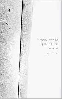 Livro Todo cinza que há em mim é prateado