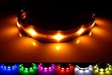 GoDoggie-GLOW USB Rechargeable LED Dog Safety Collar, Medium ( 13.4 - 19.7