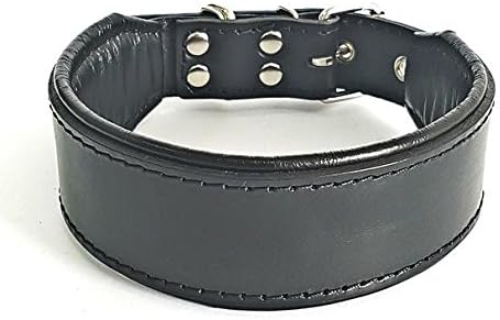 leather dog collars amazon