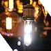 Leools Dimmable Edison Led Tubular Bulb T10,8W Vintage Led Filament Light Bulb 75W Incandescent, 4000K Daylight Glow,E26 Medium Base Lamp Bulb,3 Pack
