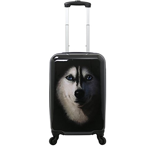 Chariot Dog 3piece Expandable Hardside Lightweight Spinner Luggage Set