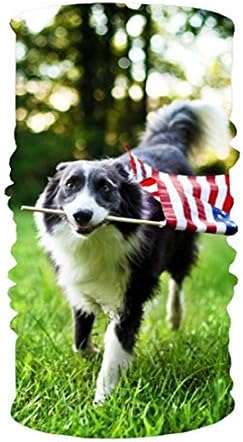 Funny Dog 16-in-1 Magic Scarf,Face Mask,Balaclava Bandana for Outdoor Sports 10 * 20inchs