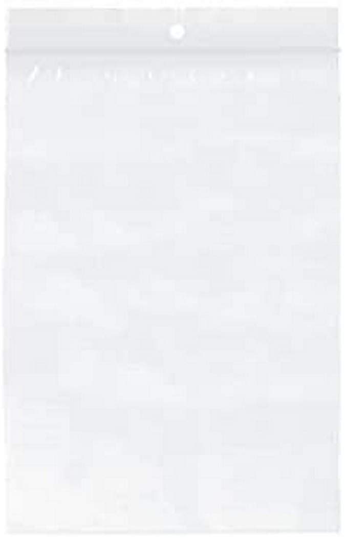 Raadhuis Plastic Bag resealable 100 x 150 mm Without Writing Surface 10 x 100 Pieces hanghole and Reinforcement Wire