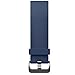 Fitbit Blaze Accessory Band, Classic, Blue, Large