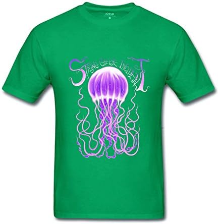 The String Cheese Incident purple Logo T shirts for men M LightGreen