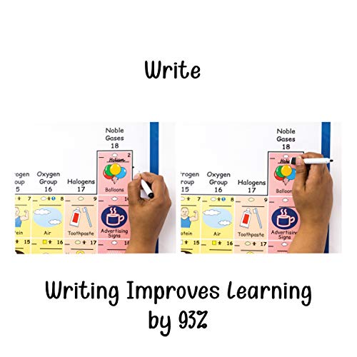 Amazon Com New Dry Erase X Large Apex Campus Periodic