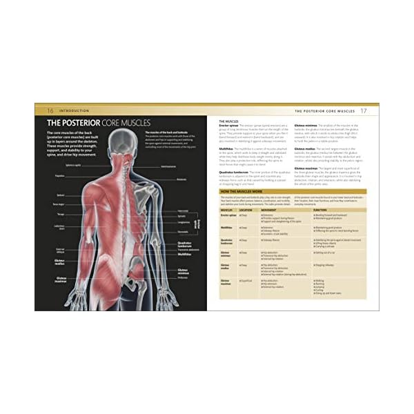 Core Strength Training: The Complete Step-by-Step Guide to a Stronger Body and Better Posture for Men an