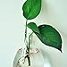 Waterdrop Shape Glass Wall Hanging Flower Vase Plant Bottle Home Decor