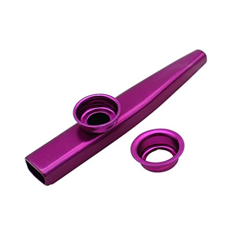 Botrong Metal Kazoos Musical Instruments Flutes for Kids,Guitar, Ukulele, Violin, Piano Keyboard (Purple)