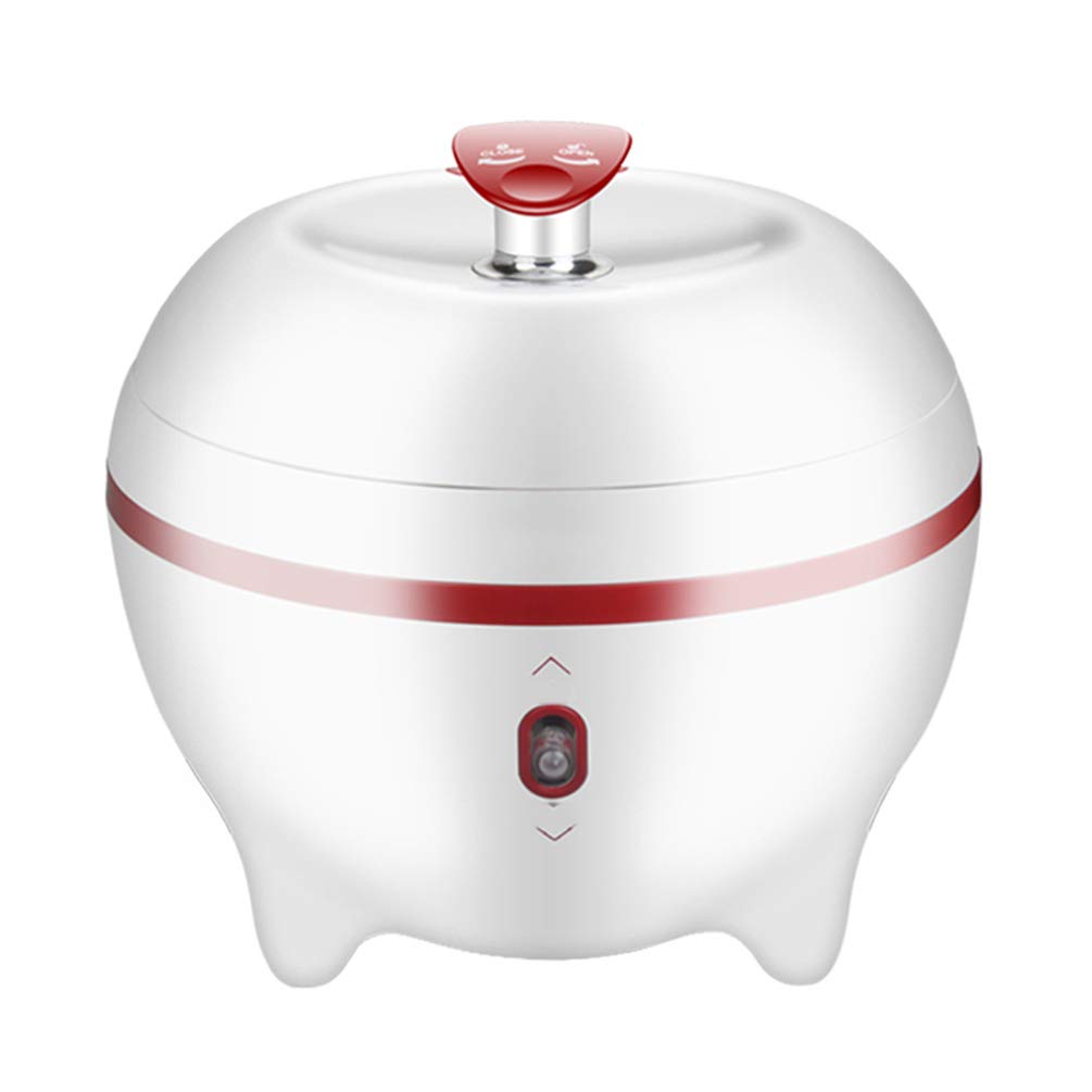 Which Is The Best 2L Slow Cooker