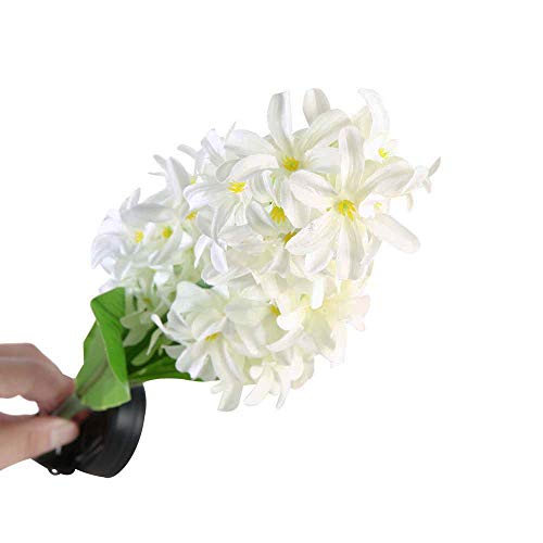 4 Hatop+Hyacinth+Powered+Backyard+Decorations