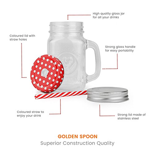 Golden Spoon Glass Drinking Jar/Mug with Handle, Stainless Steel Lid, Stainless Steel Colored Lid, Colored Straws, Regular Mouth, Dishwasher Safe, BPA Free, Set of 6 (16 oz/Pint)