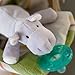 Wubbanub Hippo
