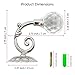 Geritte 2PCS Clear Crystal Curtain Holdbacks Wall Mounted Tassel Curtain Tieback Hook Drapery Tiebacks Hook Clothes Coat Hat Towel Hanger Holder (Silver)