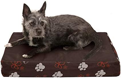 Furhaven Pet Dog Bed Deluxe Cooling Gel Memory Foam Mat Foam Water Resistant Indoor Outdoor Garden Traditional Foam Mattress Pet Bed With Removable Cover For Dogs And Cats Bark Brown Small Buy Online