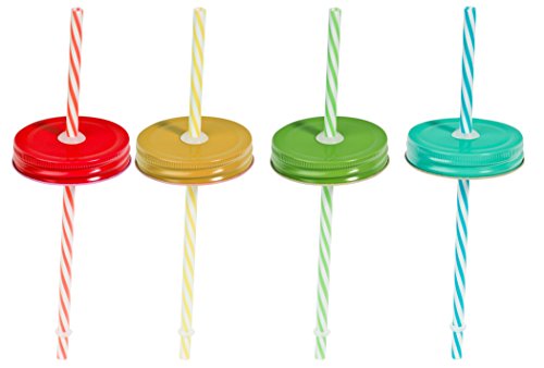 Set of Four (4) Regular Mouth Mason Jar Straw Lids with Straws (Solid)