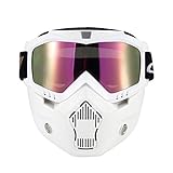 KKmoon Mortorcycle Mask Detachable Goggles and Mouth Filter for Open Face Helmet Motocross Ski Snowboard