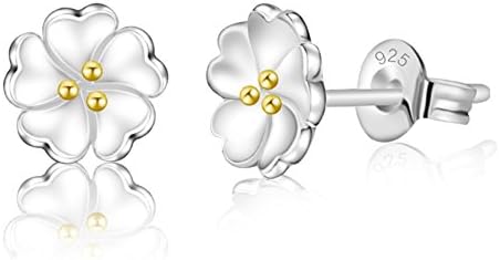 ER-20137C1 Fashionable Silver Plating Women's Earring