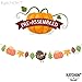 Give Thanks Garland for Thanksgiving Decorations - Pre-Assembled, No DIY Required | Happy Thanksgiving Banner Sign Garland | Thanksgiving Fall Decorations for Mantle, Dinner Table | Fall Autumn Décor
