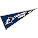 University of Akron Pennant Full Size Felt