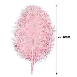24pcs Natural Lotus Pink Ostrich Feathers 10-12inch