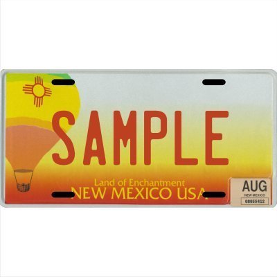 Custom Personalized Metal License Plate Your Name Your State - Choose from All 50 States