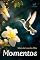 Livro Momentos
