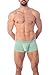 Obviously Apparel Downtown Collection - AnatoMAX Hipster Trunk - Mint - Large