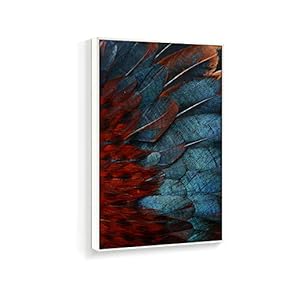 Framed Canvas Wall Art for Living Room, Bedroom Beautiful Features Canvas Prints for Home Decoration Ready to Hanging - 16x24 inches