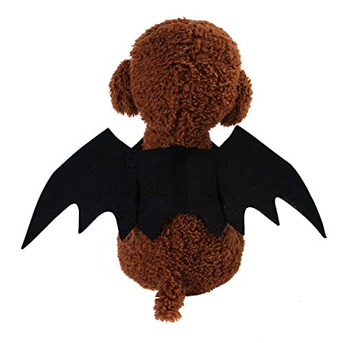 JHFY Cat Bat Costume - Black Cat Bat Wings Cosplay - Pet Costumes Apparel for Cat Small Dogs Puppy for for Small Dogs and Cats Dress Up Accessories (Bat Wings)