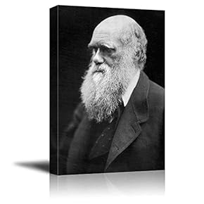 Portrait of Charles Darwin Inspirational Famous People Series