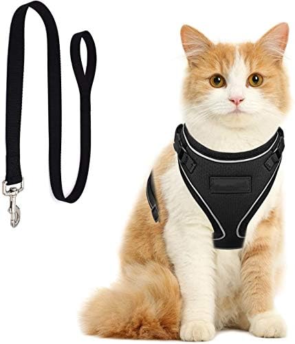 Vesiri 猫用 ハーネス リードセット 胴輪 猫具 ねこ ネコ 子猫 35 Off 子犬 小型犬 散歩 ベスト お出かけ サイズ調節可 軽量 抜けない 頭を通さずマジックテープで装着 ペット用ベーシック首輪 通気メッシュ ソフト胸あて 夜反射