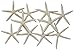 Nautical Beach Decor Extra Large 10 Pack REAL White Finger Starfish Wedding Decor 6-8 inch - Sea Stars (6-8 inch)