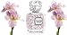 Vera Wang Forever Vera Eau de Toilette, 1 Fluid Ounce