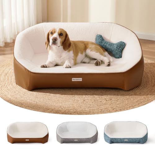 Memory Foam Dog Bed