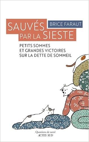 Sauvés par la sieste : Petits sommes et grandes victoires sur la dette de sommeil